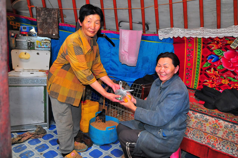Mongolie